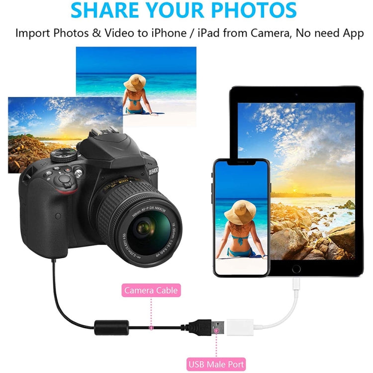 NK102 8핀 수컷 to 싱글 USB 암컷 포트 카메라 어댑터, iOS 13.0 이상 시스템 지원