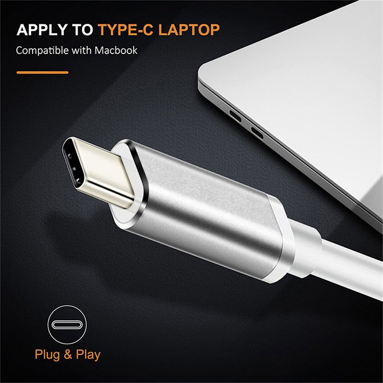 USB-C / Type-C 3.1 수컷 to DP 암컷 HD 변환기, 길이: 12cm