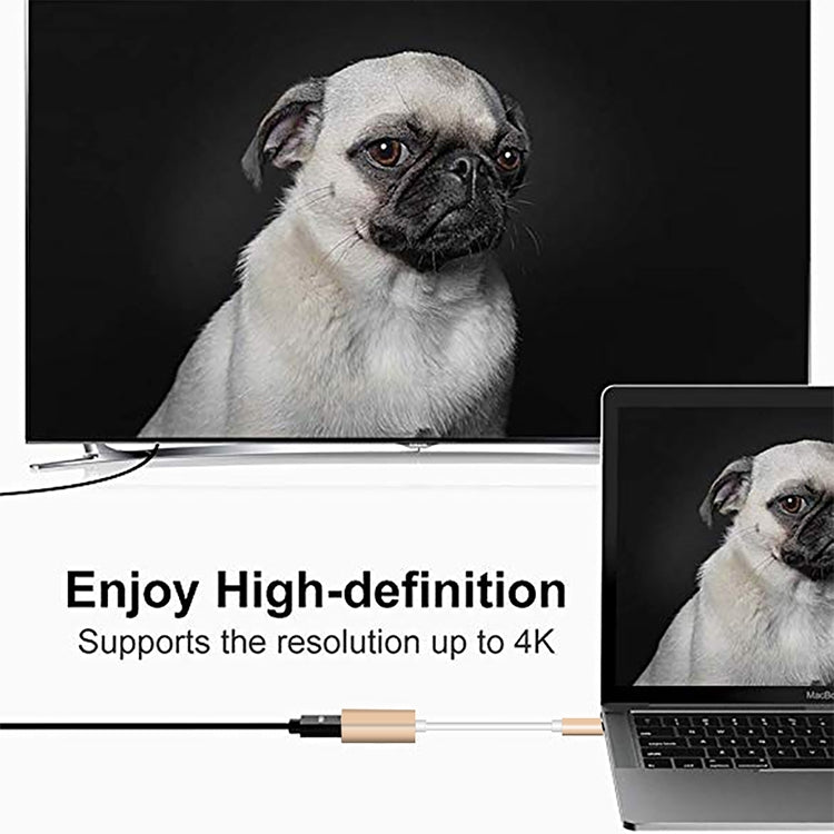 USB-C / Type-C 3.1 수컷 to Mini DP 암컷 HD 변환기, 길이: 12cm, 실버, 골드