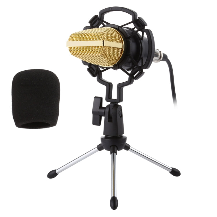 BM-700 USB 전문 콘덴서 마이크