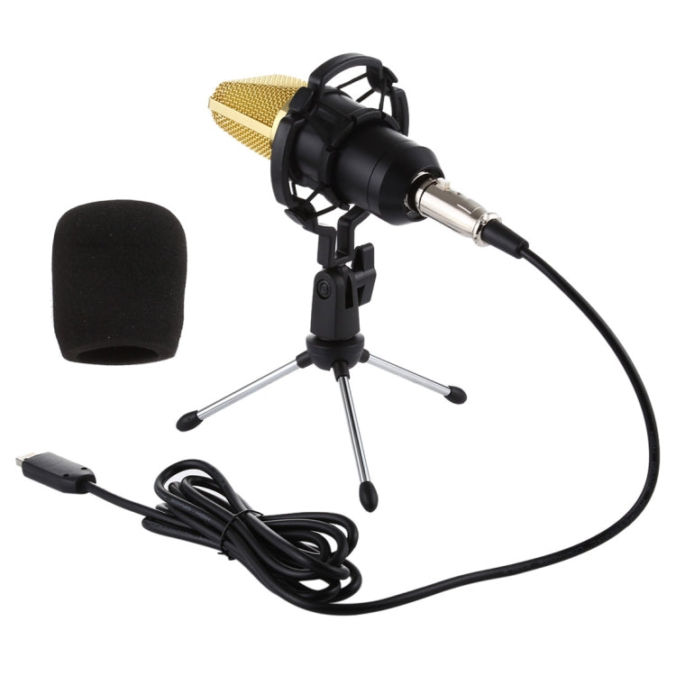 BM-700 USB 전문 콘덴서 마이크