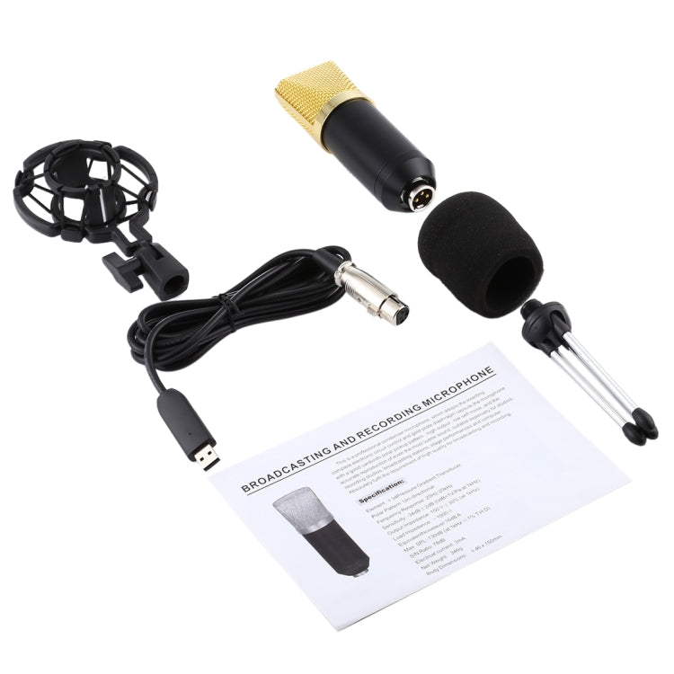 BM-700 USB 전문 콘덴서 마이크
