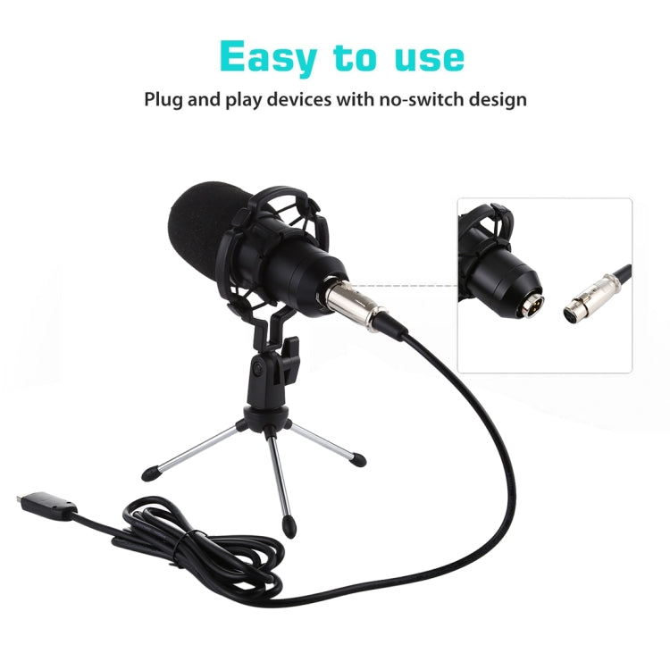 BM-700 USB 전문 콘덴서 마이크