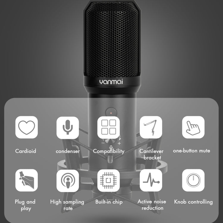 Yanmai Q10B USB 녹음 마이크 키트, Q10B