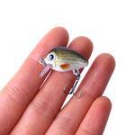 HENGJIA 5개 2.7cm/1.5g 루어 바위 낚시 루어 미끼 바이오닉 키트 플라스틱 박스 포함, Box008