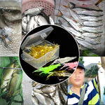 10개 4cm 낚시 소프트 베이트 팝퍼, 인공 새우, 야광 새우, 분홍 새우, 녹색 새우, 투명 새우
