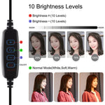 PULUZ 4-in-1 브이로깅 라이브 방송 4.7인치 12cm 링 LED 셀피 라이트 스마트폰 비디오 리그 핸들 스태빌라이저 알루미늄 브래킷 키트, 마이크 + 삼각대 마운트 + 콜드 슈 삼각대 헤드 포함, 링 LED 알루미늄 브래킷 키트