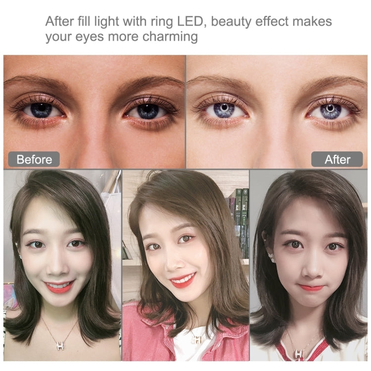 PULUZ 6.2인치 16cm USB 10 모드 8 색상 RGBW 조광 가능한 LED 링 브이로깅 사진 영상 조명, 삼각대 볼 헤드 포함, 6.2인치 RGBW