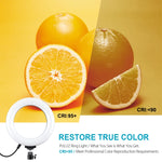 PULUZ 6.2인치 16cm USB 10 모드 8 색상 RGBW 조광 가능한 LED 링 브이로깅 사진 영상 조명, 삼각대 볼 헤드 포함, 6.2인치 RGBW
