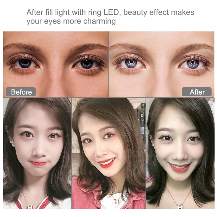 PULUZ 10.2인치 26cm 곡면 USB RGBW 조광 가능한 LED 링 브이로깅 사진 영상 조명, 삼각대 볼 헤드 및 리모컨, 휴대폰 클램프 포함, 10.2인치 RGBW