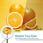 PULUZ 10.2인치 26cm USB 3 모드 조광 듀얼 색온도 LED 곡면 링 브이로깅 셀피 사진 영상 조명, 블루투스 리모컨 셔터 & 접이식 데스크탑 홀더 & 휴대폰 클램프 포함