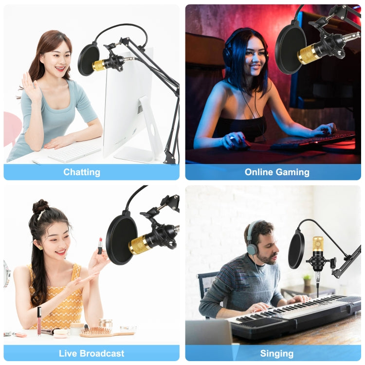 PULUZ 콘덴서 마이크 스튜디오 방송용 전문 노래 마이크