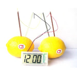 DIY 신기한 녹색 과학 감자 디지털 시계 교육 키트 2인치 LCD 화면 포함 (감자 미포함), 감자 디지털 시계