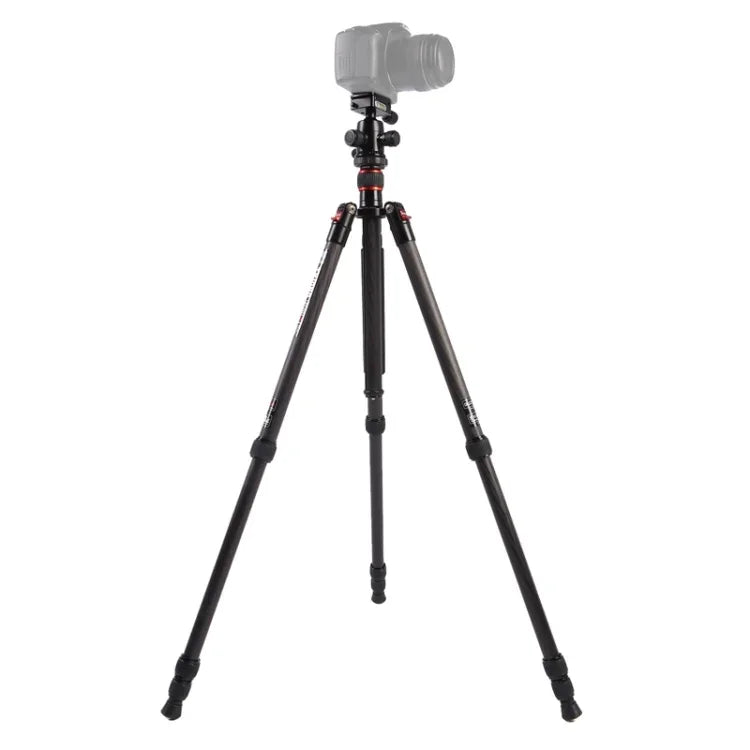 Triopo GT-2504X8.C 조절식 휴대용 카본 파이버 삼각대 B-1 알루미늄 볼 헤드 포함, 캐논 니콘 소니 DSLR 카메라용, GT-2504X8.C (블랙), GT-2504X8.C (골드)