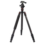 Triopo GT-2504X8.C 조절식 휴대용 카본 파이버 삼각대 B-1 알루미늄 볼 헤드 포함, 캐논 니콘 소니 DSLR 카메라용, GT-2504X8.C (블랙), GT-2504X8.C (골드)