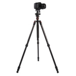 Triopo GT-2504X8.C 조절식 휴대용 카본 파이버 삼각대 B-1 알루미늄 볼 헤드 포함, 캐논 니콘 소니 DSLR 카메라용, GT-2504X8.C (블랙), GT-2504X8.C (골드)