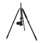 Triopo GT-2504X8.C 조절식 휴대용 카본 파이버 삼각대 B-1 알루미늄 볼 헤드 포함, 캐논 니콘 소니 DSLR 카메라용, GT-2504X8.C (블랙), GT-2504X8.C (골드)