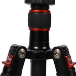 Triopo GT-2504X8.C 조절식 휴대용 카본 파이버 삼각대 B-1 알루미늄 볼 헤드 포함, 캐논 니콘 소니 DSLR 카메라용, GT-2504X8.C (블랙), GT-2504X8.C (골드)