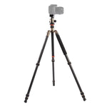 Triopo GT-2504X8.C 조절식 휴대용 카본 파이버 삼각대 B-1 알루미늄 볼 헤드 포함, 캐논 니콘 소니 DSLR 카메라용, GT-2504X8.C (블랙), GT-2504X8.C (골드)