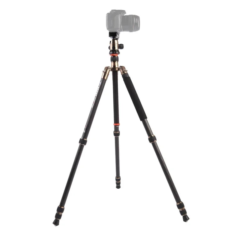 Triopo GT-2504X8.C 조절식 휴대용 카본 파이버 삼각대 B-1 알루미늄 볼 헤드 포함, 캐논 니콘 소니 DSLR 카메라용, GT-2504X8.C (블랙), GT-2504X8.C (골드)