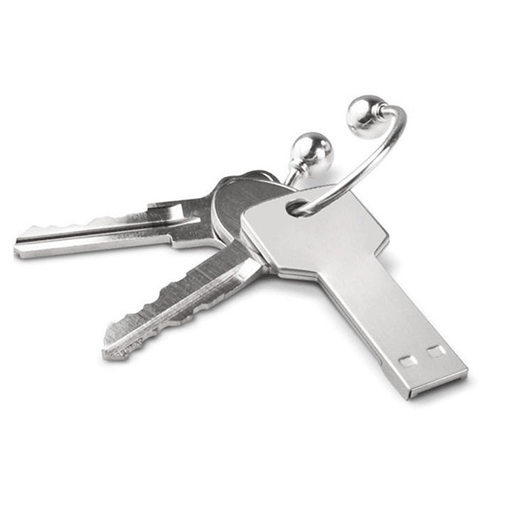 2GB 키 USB 플래시 디스크, 1GB, 2GB, 4GB, 8GB
