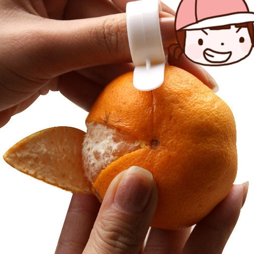이미지 대체 텍스트