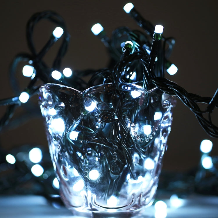 컨트롤러가 있는 100 LED RGB 조명, 깜박임 / 페이드 / 체이싱 효과, 웜 화이트 EU 플러그, 화이트 라이트 EU 플러그, 220V 다채로운 조명 EU 플러그