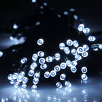 컨트롤러가 있는 100 LED RGB 조명, 깜박임 / 페이드 / 체이싱 효과, 웜 화이트 EU 플러그, 화이트 라이트 EU 플러그, 220V 다채로운 조명 EU 플러그