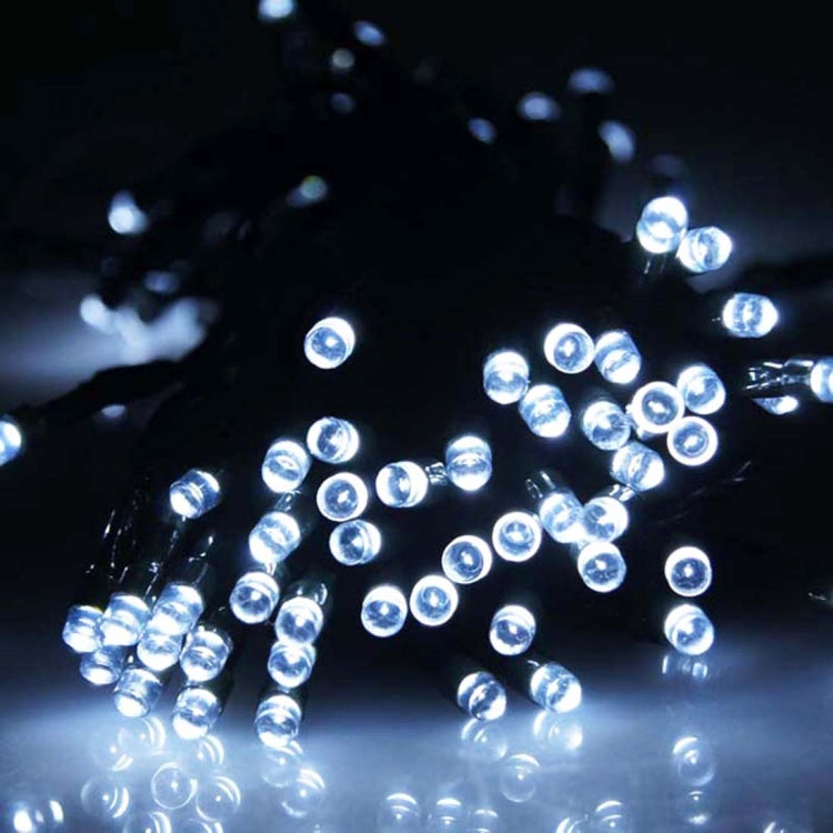 컨트롤러가 있는 100 LED RGB 조명, 깜박임 / 페이드 / 체이싱 효과, 웜 화이트 EU 플러그, 화이트 라이트 EU 플러그, 220V 다채로운 조명 EU 플러그
