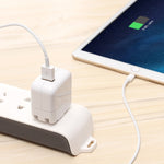12W USB 충전기 + USB to 8핀 데이터 케이블 iPad / iPhone / iPod 시리즈용, US 플러그
