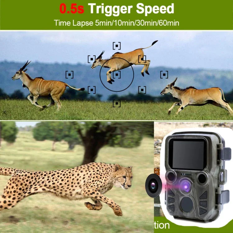 Mini300 사냥용 카메라 12MP HD 1080P 추적 카메라, Mini300