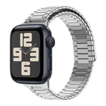 대나무 자석 스테인리스 스틸 금속 시계 스트랩, Apple Watch SE 2023 44mm용, Apple Watch SE 2023 40mm용, Apple Watch Ultra 2 49mm용, Apple Watch 시리즈 9 45mm용, Apple Watch 시리즈 9 41mm용, Apple Watch Ultra 49mm용