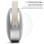 W-KING T8 HIFI 스피커 30W 고출력 휴대용 블루투스 스피커 무선 FM 라디오 모바일 블루투스 스피커