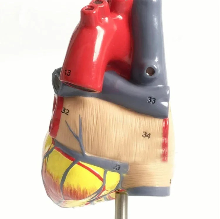 이미지 대체 텍스트