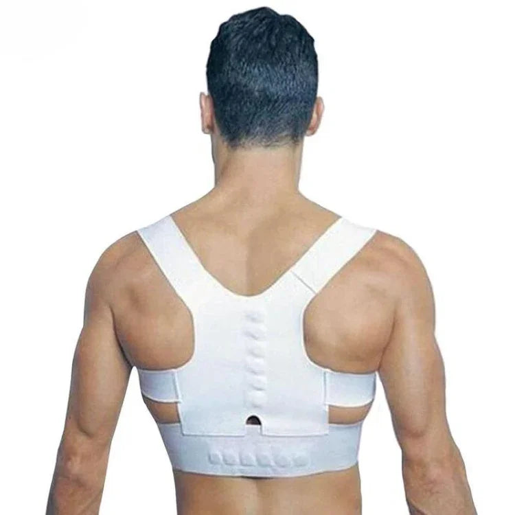 이미지 대체 텍스트