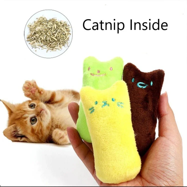 이미지 대체 텍스트