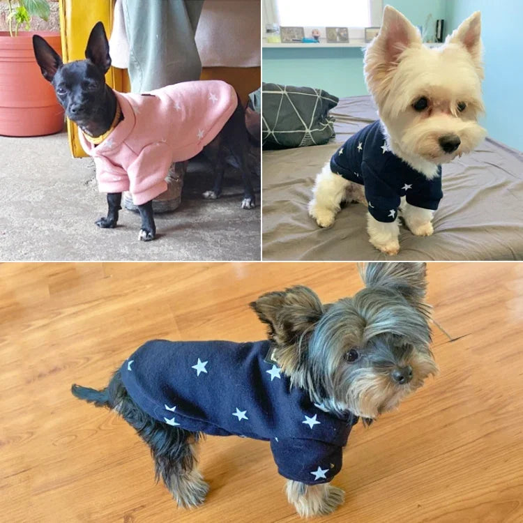 애완동물 가을 겨울 오각별 무늬 스웨터 애완동물 따뜻한 옷, L, XXL, XL