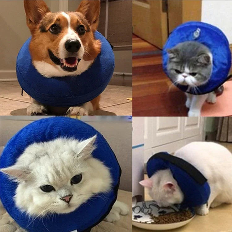 이미지 대체 텍스트