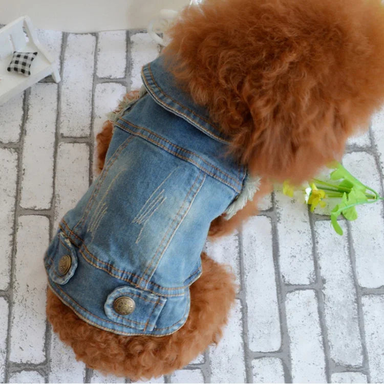 복고풍 개성 데님 소형 조끼 반려동물 강아지 옷 반려동물 재킷, L, XL, XS, M