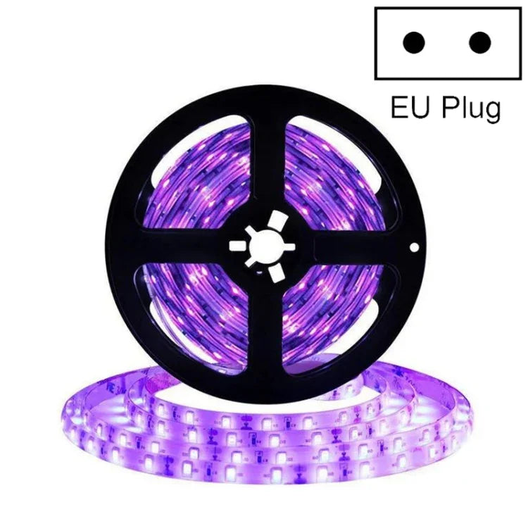 2835 SMD UV 보라색 빛 스트립 LED 램프 장식 조명 스트립, 방수 5m, 방수 10m, 베어 보드 5m, 베어 보드 10m