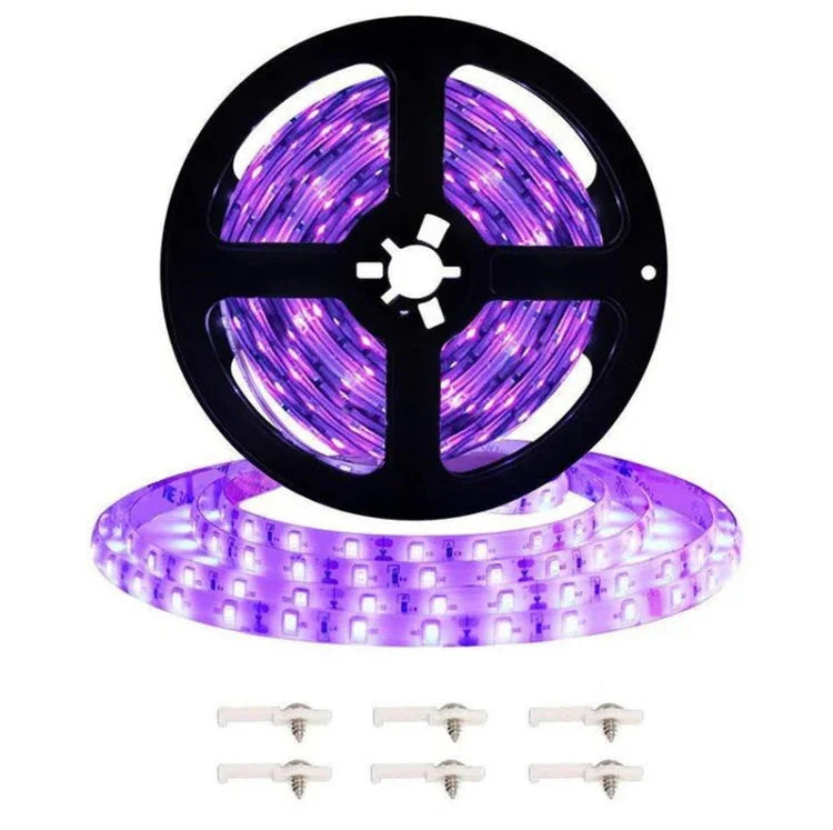 2835 SMD UV 보라색 빛 스트립 LED 램프 장식 조명 스트립, 방수 5m, 방수 10m, 베어 보드 5m, 베어 보드 10m