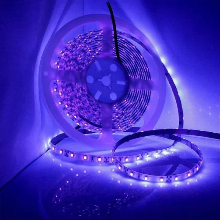 2835 SMD UV 보라색 빛 스트립 LED 램프 장식 조명 스트립, 방수 5m, 방수 10m, 베어 보드 5m, 베어 보드 10m