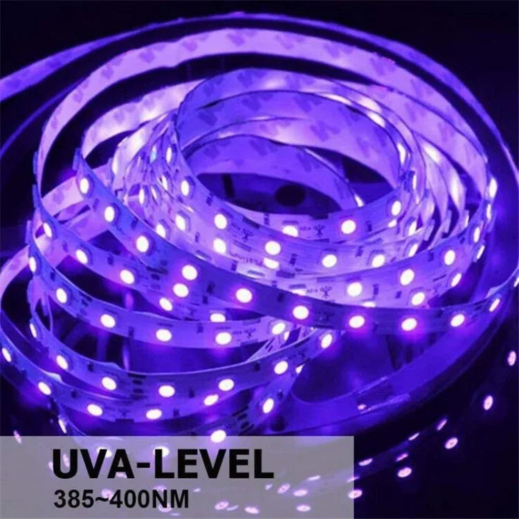 2835 SMD UV 보라색 빛 스트립 LED 램프 장식 조명 스트립, 방수 5m, 방수 10m, 베어 보드 5m, 베어 보드 10m