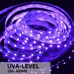 2835 SMD UV 보라색 빛 스트립 LED 램프 장식 조명 스트립, 방수 5m, 방수 10m, 베어 보드 5m, 베어 보드 10m