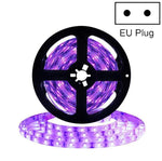 2835 SMD UV 보라색 빛 스트립 LED 램프 장식 조명 스트립, 방수 5m, 방수 10m, 베어 보드 5m, 베어 보드 10m