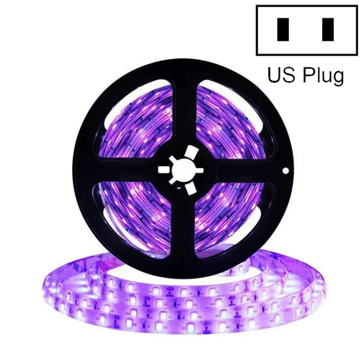 2835 SMD UV 보라색 빛 스트립 LED 램프 장식 조명 스트립, 방수 5m, 방수 10m, 베어 보드 5m, 베어 보드 10m