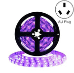 2835 SMD UV 보라색 빛 스트립 LED 램프 장식 조명 스트립, 방수 5m, 방수 10m, 베어 보드 5m, 베어 보드 10m