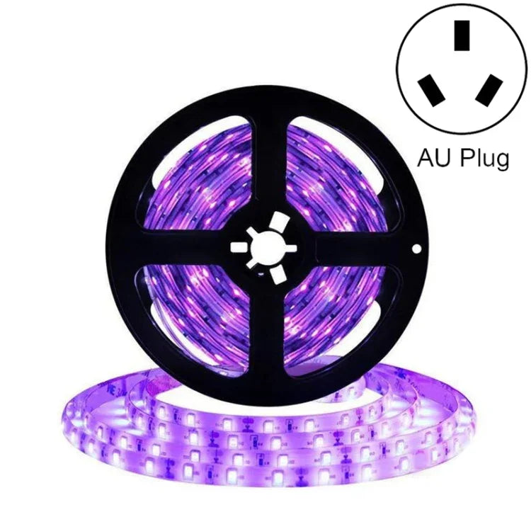 2835 SMD UV 보라색 빛 스트립 LED 램프 장식 조명 스트립, 방수 5m, 방수 10m, 베어 보드 5m, 베어 보드 10m