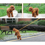 Double Sided LED Light Pet Harness Nylon Cat Dog Chest Strap Leash, S, M