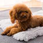 가을 겨울용 따뜻한 범용 사각 애완동물 고양이 강아지 플러시 패드, S, XL, L